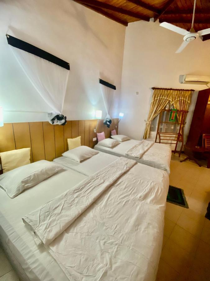 Hikka Paradise Guest House ヒッカドゥワ エクステリア 写真